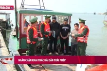 Ngăn chặn khai thác hải sản trái phép