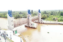 Cống Rạch Gầm (huyện Châu Thành) đã hoàn thành và đưa vào sử dụng giúp ngăn mặn, trữ ngọt trong mùa khô tới.