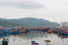 Từ Nghị quyết 255, đã có 1.149 lượt tàu cá được hỗ trợ