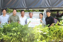 Trao cây giống cho các hộ gia đình