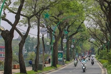 Ảnh minh họa.