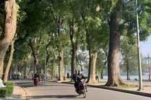 Ảnh minh họa.