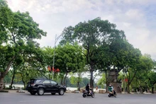 Ảnh minh họa.
