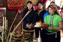 Xôi ngũ sắc là món ăn quen trong mâm cơm ngày lễ, Tết. 