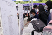 Sinh viên tìm kiếm thông tin tuyển dụng.