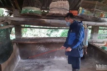 Hộ chăn nuôi ở thành phố Cao Bằng phun thuốc tiêu độc, khử trùng chuồng trại sau khi gia súc bị thiệt hại do dịch tả lợn châu Phi. 