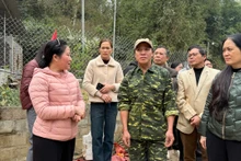 Lãnh đạo Ủy ban Mặt trận Tổ quốc Việt Nam tỉnh Bắc Kạn kiểm tra, nắm nhu cầu xóa nhà tạm tại huyện Na Rì. (Ảnh: HƯƠNG LAN)
