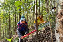 Người dân huyện Điện Biên Đông phát cây bụi phòng chống cháy rừng trong những ngày nắng nóng. 