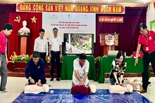 Tập huấn kỹ năng sơ cấp cứu tại Công ty Bột mì Bình Đông.