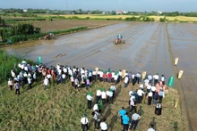 Tỉnh Tiền Giang triển khai đề án.