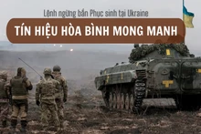 [Video] Lệnh ngừng bắn Phục sinh tại Ukraine: Tín hiệu hòa bình mong manh