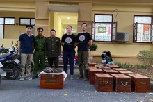 Đại diện SVW phối hợp lực lượng chức năng thực hiện giao nhận các cá thể tê tê.