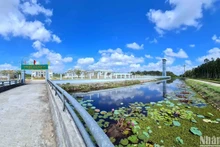 Ảnh minh họa: HỮU TÙNG
