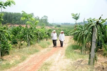 Ảnh minh họa: TRẦN HẢI