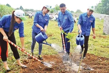 Hưởng ứng Tết trồng cây ở Yên Bái. Ảnh: H.Q