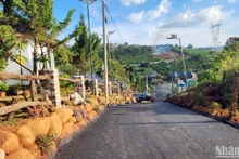 Vụ việc xây dựng homestay và mở đường trái phép tại hẻm 71 Trần Nhật Duật, xã Đam B'ri, thành phố Bảo Lộc đã chuyển hồ sơ điều tra, xử lý.
