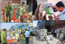 (Ảnh: Báo Điện tử Chính phủ)