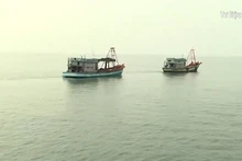 [Video] Bàn giải pháp phát triển ngành thủy sản bền vững