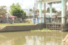 [Video] Xâm nhập mặn ở Đồng bằng sông Cửu Long có xu thế giảm