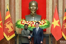 Chủ tịch nước Lương Cường và Tổng thống Sri Lanka Anura Kumara Dissanayaka tại buổi hội đàm.