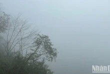(Ảnh minh họa: Đ.T)