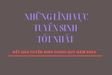 [Infographic] Những lĩnh vực tuyển sinh tốt nhất năm 2024