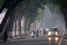 Ảnh minh họa.