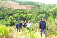 Đội K51 trên đường tìm kiếm hài cốt liệt sĩ ở đất bạn.