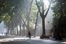 Ảnh minh họa.