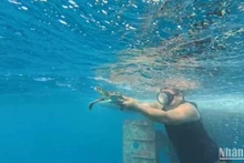Thả rùa biển quý hiếm về với môi trường tự nhiên.