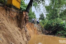 Mưa lũ lớn trong những ngày gần đây làm nhiều bờ sông trên địa bàn tỉnh Quảng Ngãi gia tăng mức độ sạt lở.