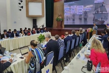 Các đại biểu dự phiên họp toàn thể sáng 24/10 tại Đại học Đà Nẵng. (Ảnh ANH ĐÀO)