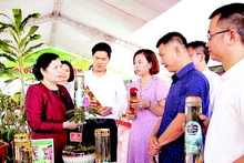 Lãnh đạo tỉnh Lai Châu khảo sát các mô hình phát triển kinh tế tại địa phương.
