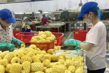Dứa là một trong những sản phẩm nông sản xuất khẩu của Thanh Hóa.