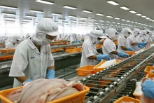 Cá tra Việt Nam có nhiều cơ hội xuất khẩu sang thị trường Trung Quốc. 