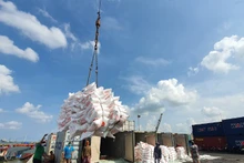 Kim ngạch xuất khẩu gạo của Việt Nam dự báo đạt hơn 5 tỷ USD trong năm 2024. 