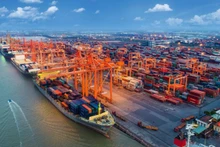 Thuế đối ứng - bao gồm chống bán phá giá và chống trợ cấp - đang trở thành một công cụ linh hoạt để Mỹ bảo vệ sản xuất nội địa. 