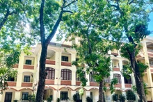  (Ảnh: ANH TUẤN)