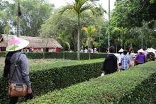 Khu Di tích lịch sử Quốc gia đặc biệt Kim Liên (huyện Nam Đàn, tỉnh Nghệ An), quê hương của Chủ tịch Hồ Chí Minh đón hơn 40 nghìn lượt du khách trong 4 ngày nghỉ Lễ Quốc khánh 2/9 vừa qua.