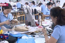 Chú trọng phát triển tổ chức Đảng trong doanh nghiệp tư nhân
