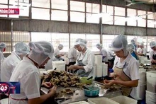 Đẩy mạnh tiêu thụ nông sản gắn với xây dựng nông thôn mới