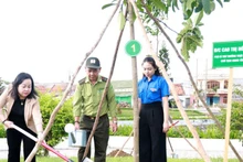 Lãnh đạo tỉnh Phú Yên tham gia trồng cây xanh tại khu vực công viên hồ điều hòa Hồ Sơn, thành phố Tuy Hòa.