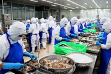 Kim ngạch xuất khẩu tháng 1/2024 duy trì xuất siêu 0,38 tỷ USD.