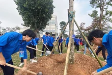 Đoàn viên, thanh niên Thủ đô trồng cây xanh hưởng ứng Tháng Thanh niên năm 2024.