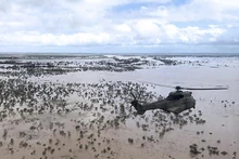 Một chiếc trực thăng Oryx đã bị bắn ở Goma. (Nguồn: AFP/TTXVN)