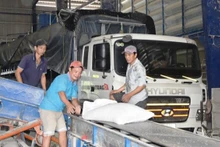 Thị trường xuất khẩu gạo đang khá trầm lắng.