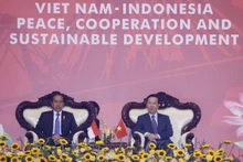 Chủ tịch nước Võ Văn Thưởng và Tổng thống Indonesia Joko Widodo dự chương trình biểu diễn võ thuật. (Ảnh: Thống Nhất/TTXVN)