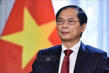 Bộ trưởng Ngoại giao Bùi Thanh Sơn. (Ảnh tư liệu: TTXVN)