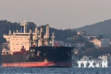 Tàu chở ngũ cốc của Ukraine di chuyển dọc Eo biển Bosphorus ở Istanbul, Thổ Nhĩ Kỳ, ngày 2/11/2022. (Ảnh: AFP/TTXVN)