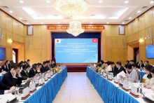 Toàn cảnh cuộc họp đánh giữa giữa kỳ Sáng kiến chung Việt Nam-Nhật Bản trong kỷ nguyên mới, giai đoạn 1. (Nguồn: Bộ Kế hoạch và Đầu tư)